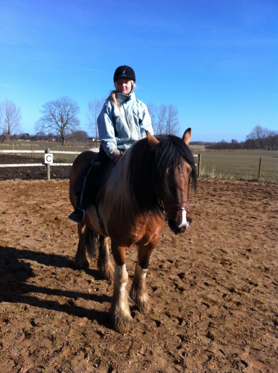 Irish Cob Crossbreed sunrise - Min dejlige Niece på hendes bedste ven billede 13