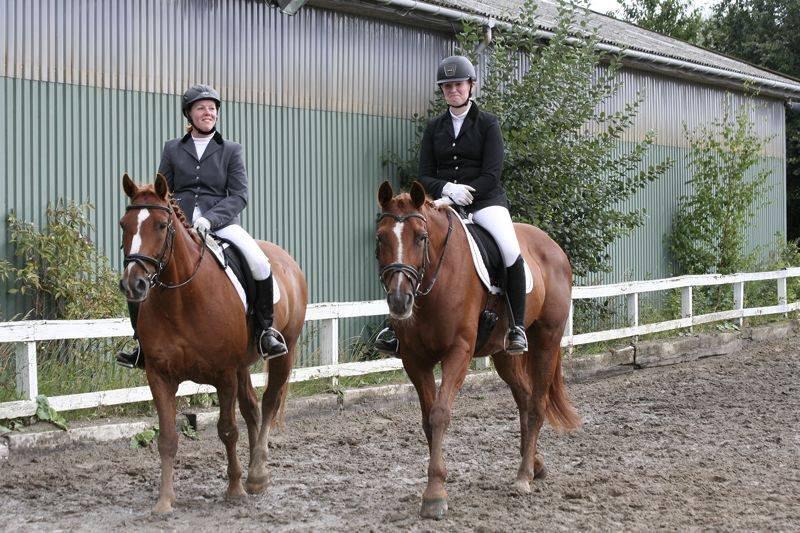 Dansk Varmblod Askemosens Marsia - 16. Tag jer ikke af mig - men Potten er altså for sød der! billede 16