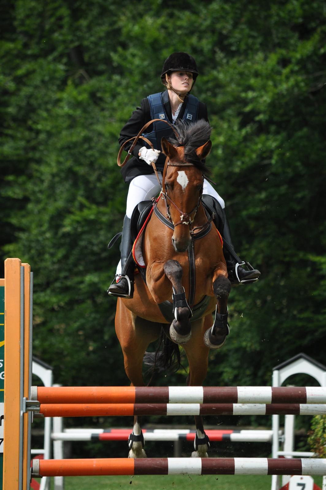 Hollandsk Varmblod Beauty LA Elsmös - Det er med at holde fast somme tider :O)) billede 19