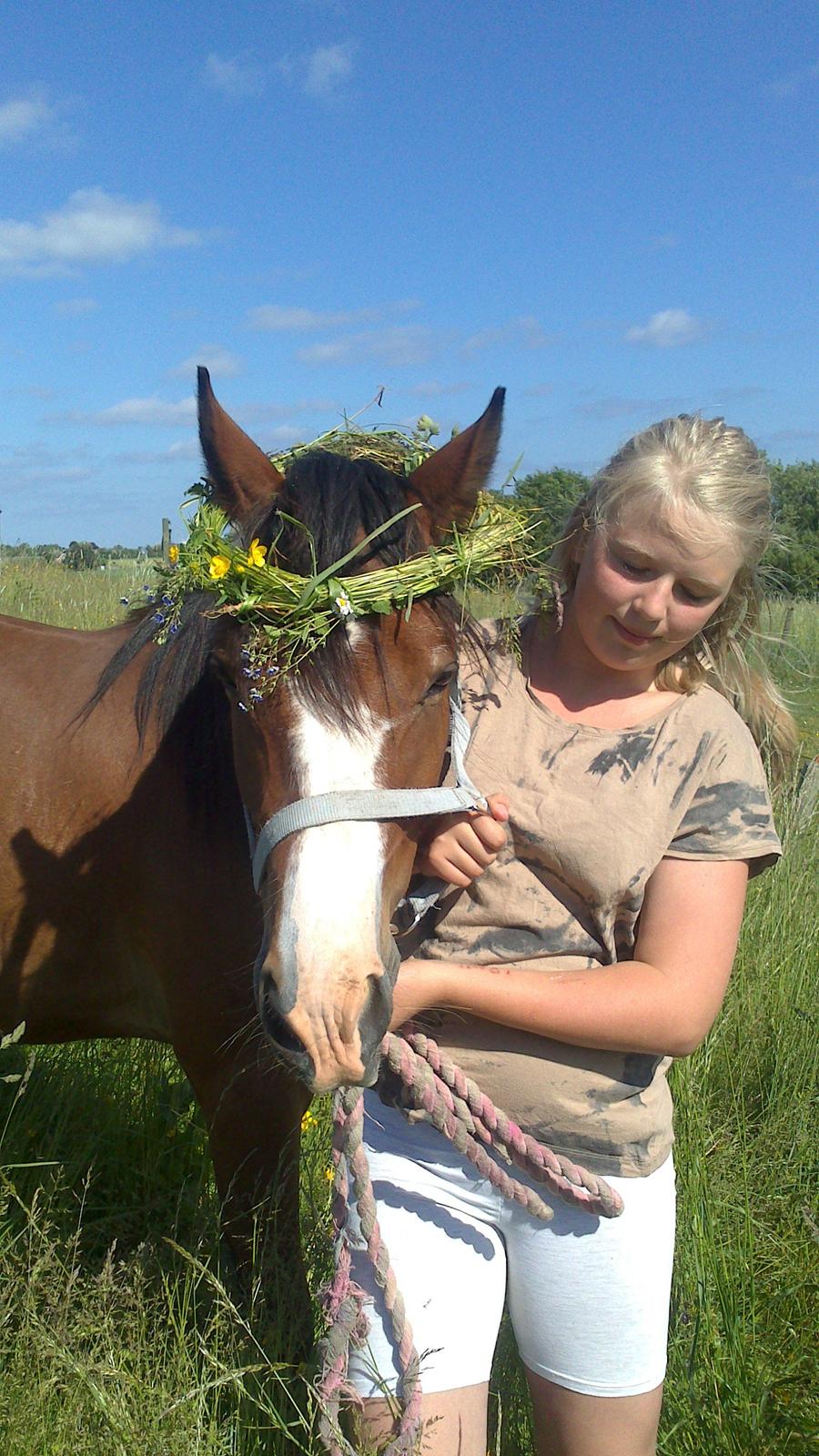 Welsh Pony (sec B) Asti - vi kommer til at klæ hindanden  billede 17