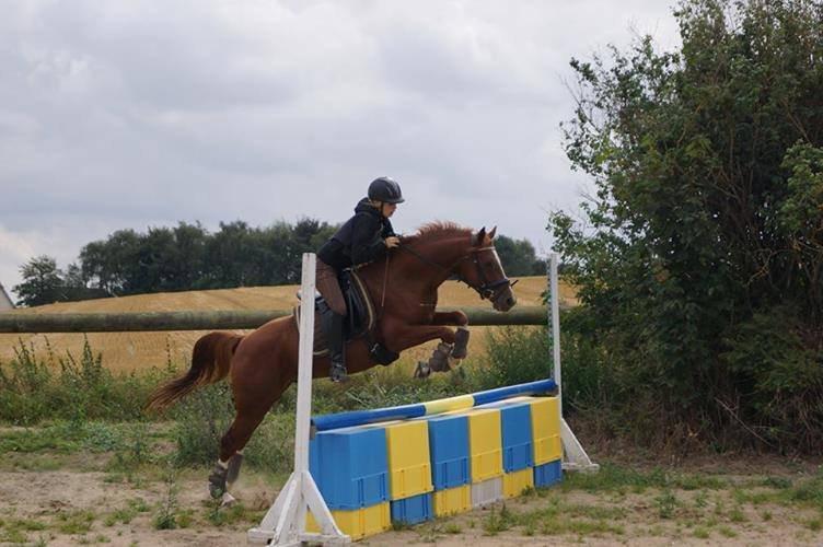 DSP Filur af grønagergård ( Låne pony) - Springning :) billede 16