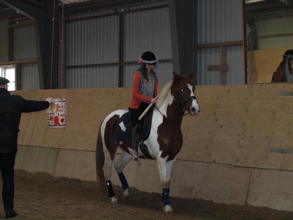 Anden særlig race Kingston - Kingston var megaaaa bange for tønden ;D billede 22