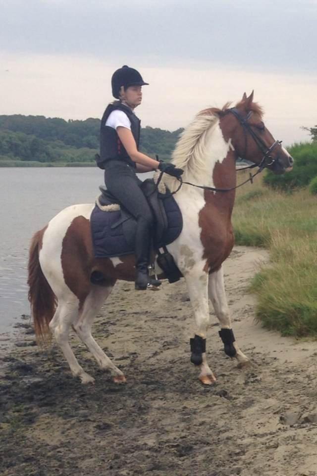 Anden særlig race Kingston - Skøre hest :))) billede 29