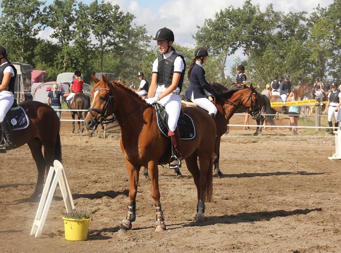 Anden særlig race Kelabo van Orchid's <3 - Præmieoverrækkelse :-)  billede 8