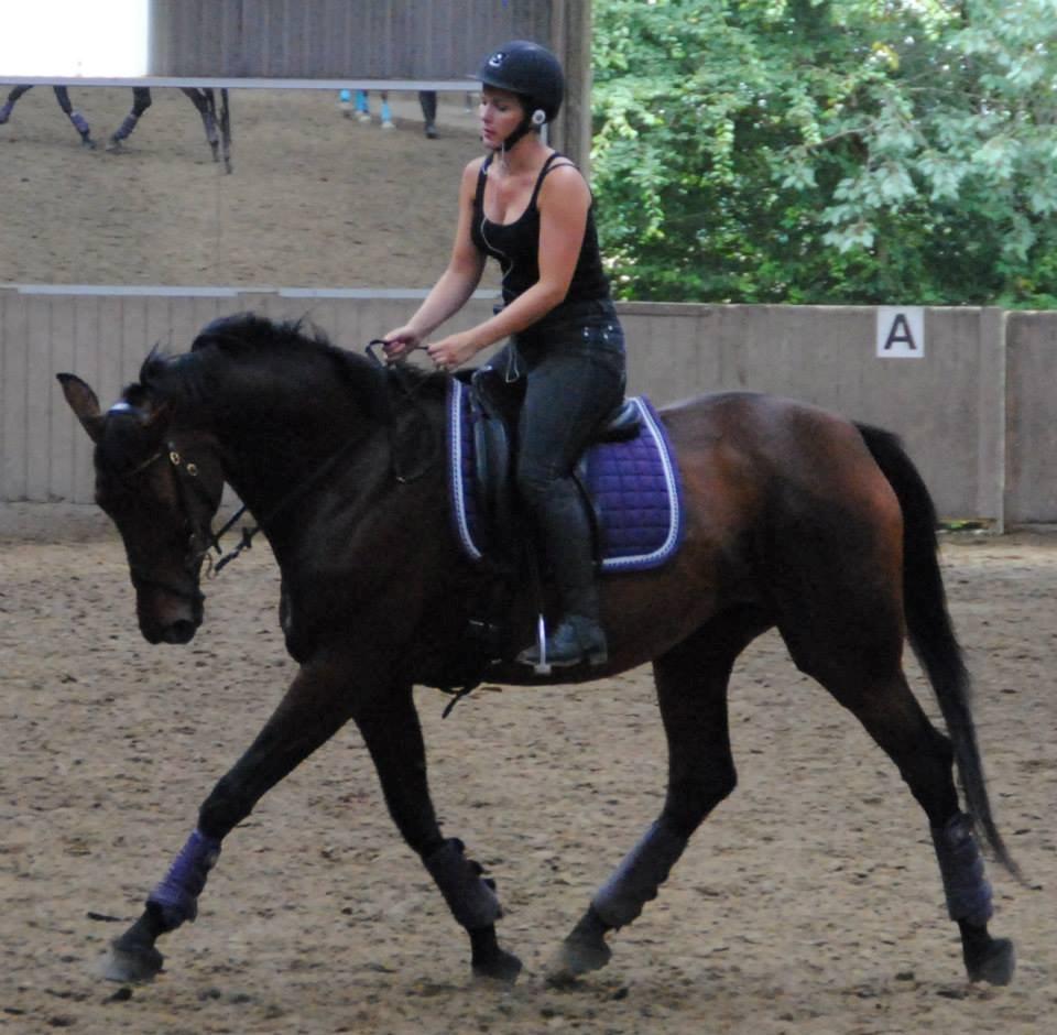 Dansk Varmblod Monique (Mini) - Rune #3. Smidig hest, selv på den dårlige volte billede 13