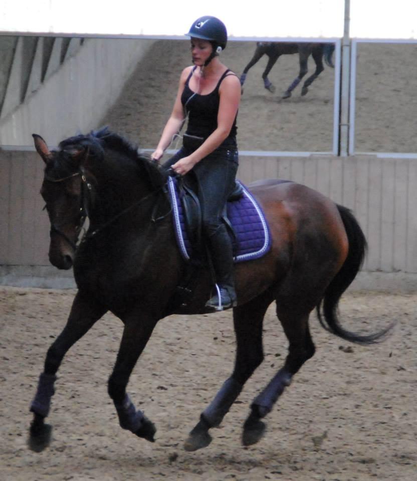 Dansk Varmblod Monique (Mini) - Rune #3 Og galop på den dårlige volte kunne man også. billede 6