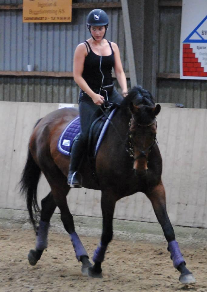 Dansk Varmblod Monique (Mini) - Rune #3 billede 20