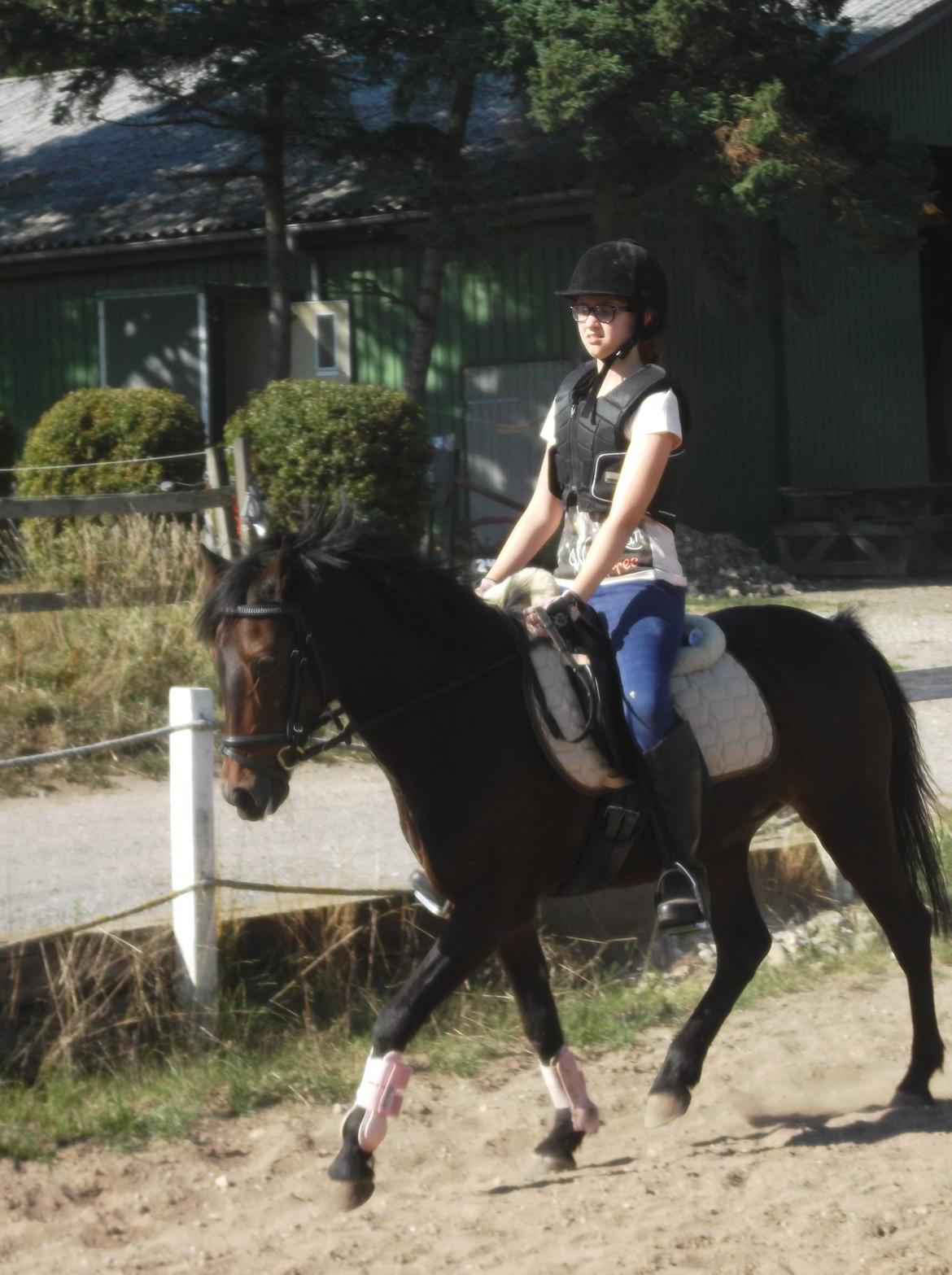 DSP Ronja billede 11