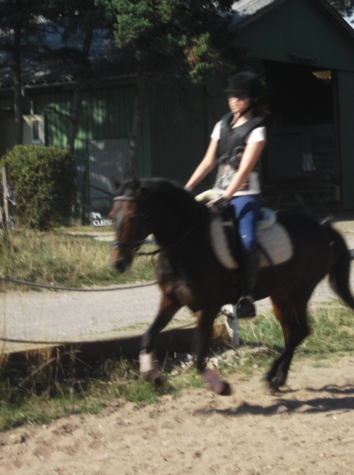 DSP Ronja billede 18