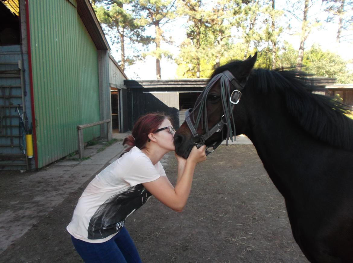 DSP Ronja billede 21