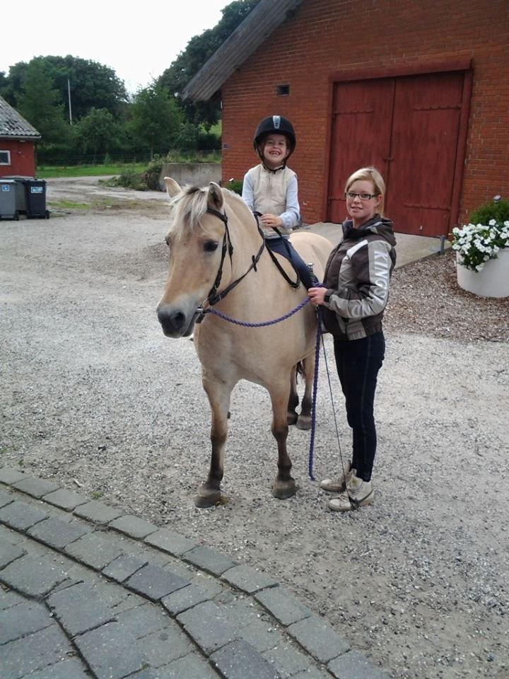 Fjordhest Sille - Første gang Alberte rider på Sille :-) billede 1