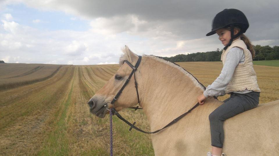 Fjordhest Sille - Første tur med Alberte og Sille <3 billede 2