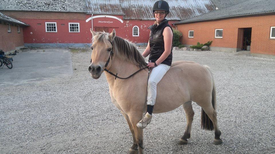 Fjordhest Sille - Sille og jegs første tur ;-) billede 5