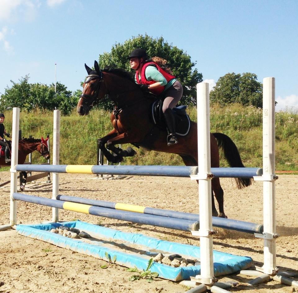 Anden særlig race Lady <3 [MIN SKØNHED] - 105 cm på Lady :D billede 16