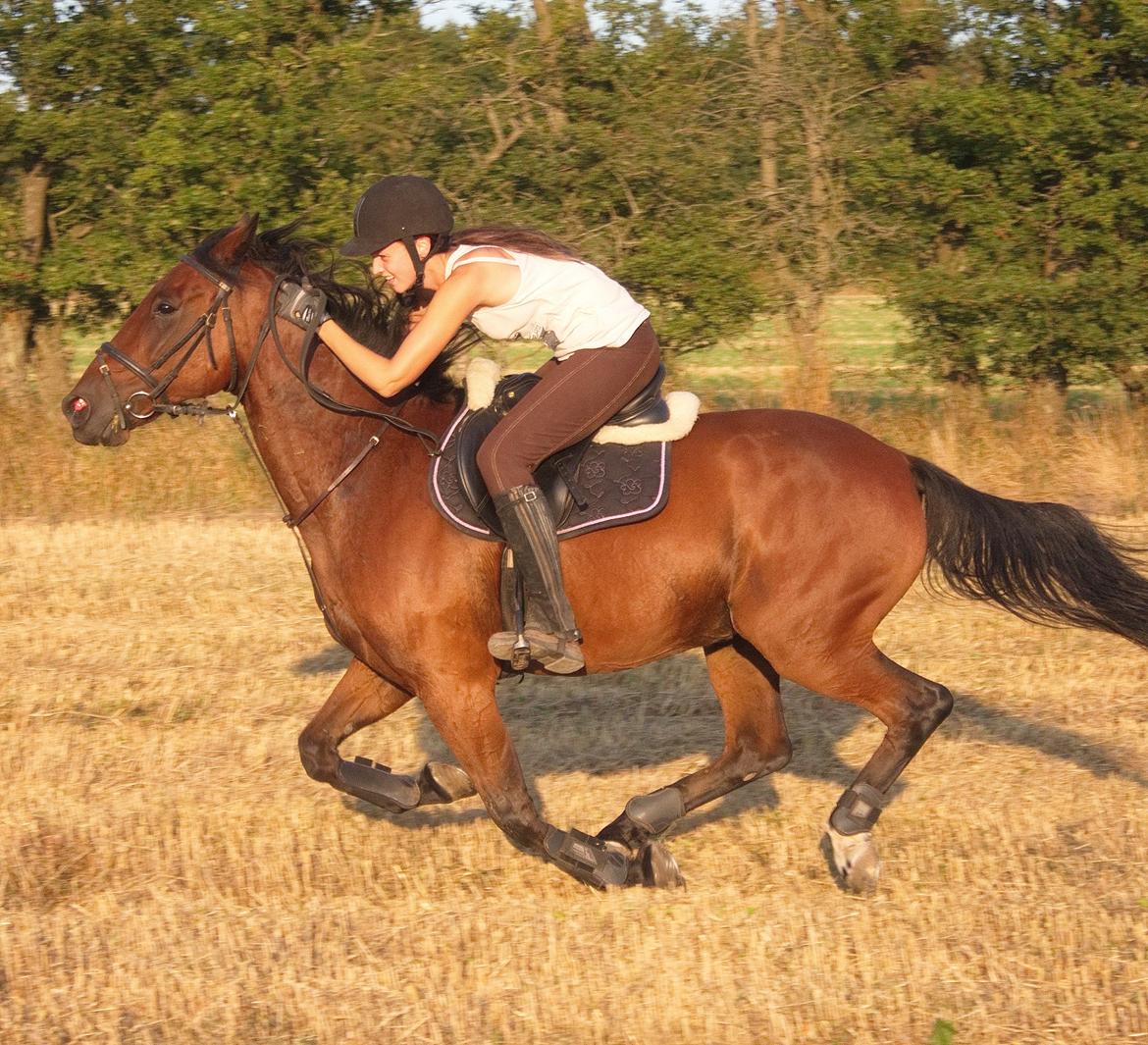 Traver Leve livet - Foto: Lars. :) billede 4