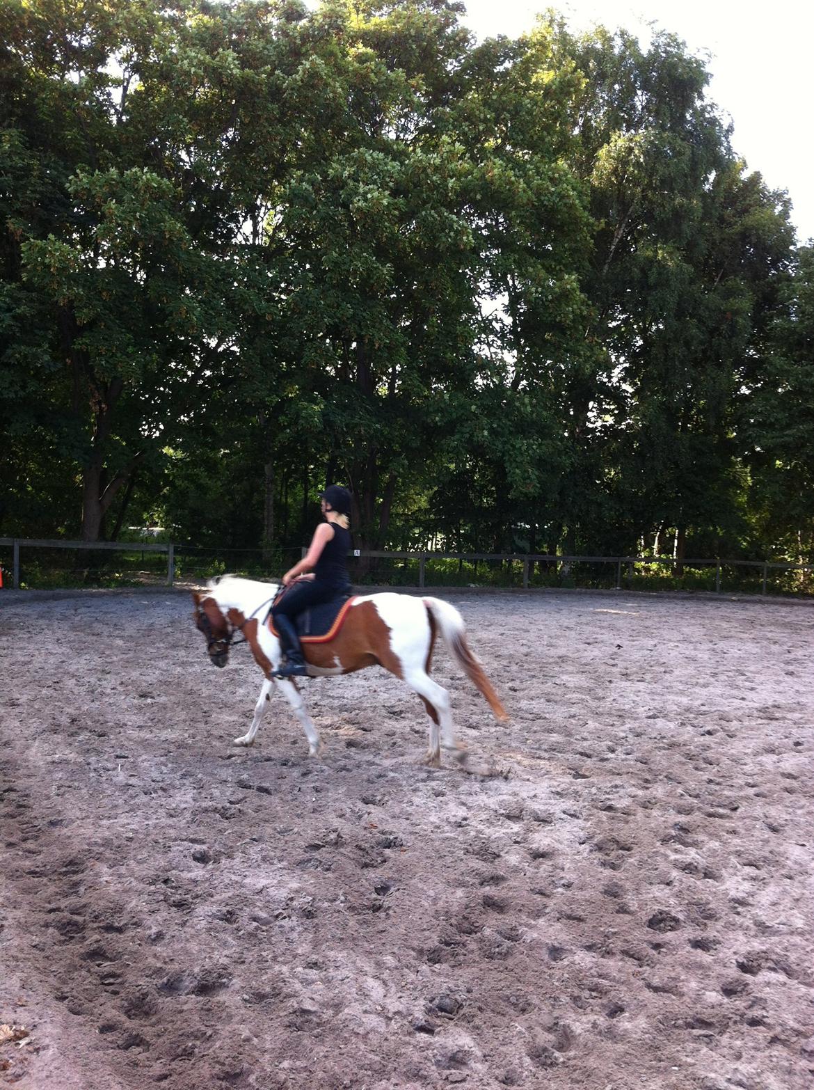 Pinto Blade - Babyyy <3 billede 26