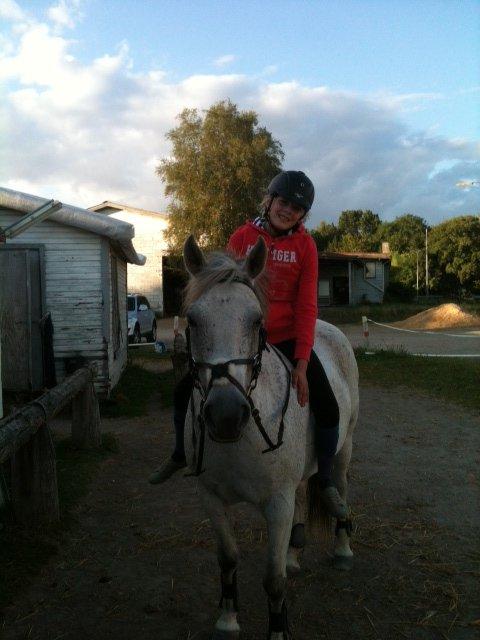 Anden særlig race Houdini<33 [min hest] - fredag aften<3333 billede 7