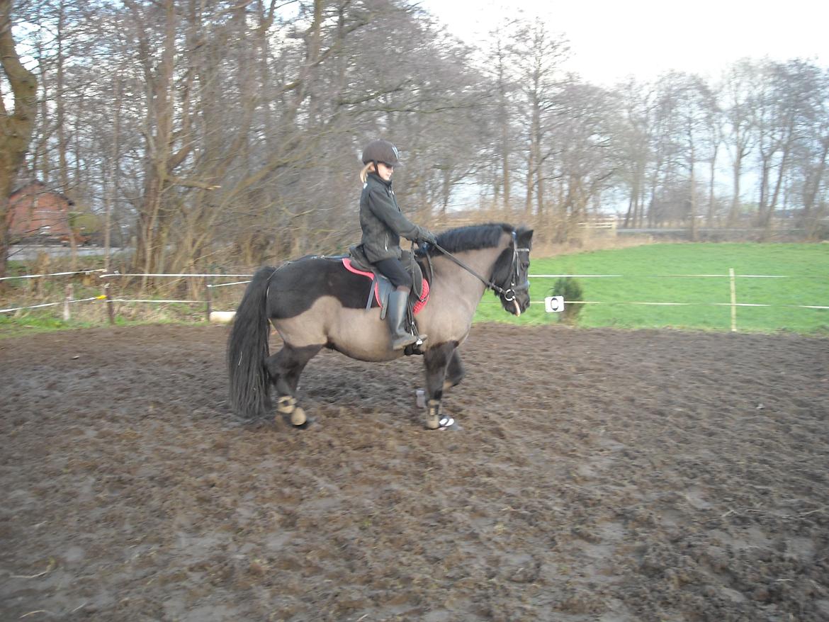 Anden særlig race Simone<3 - Nurrrrhhhh :-* Det så sødt :-* Simone og Mig :-*** billede 7