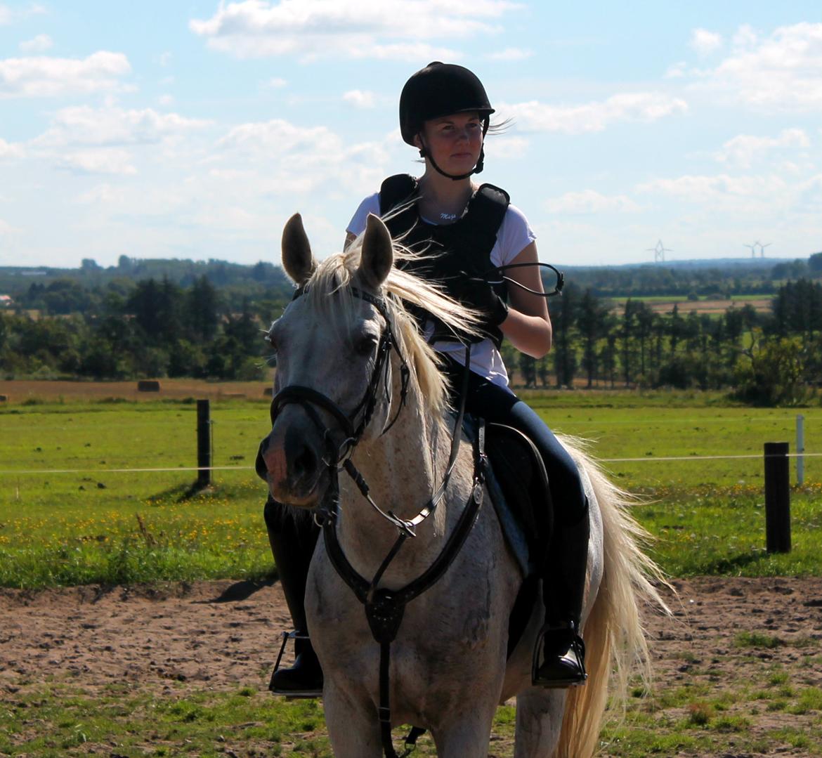 Sportsaraber (A) Filip billede 10