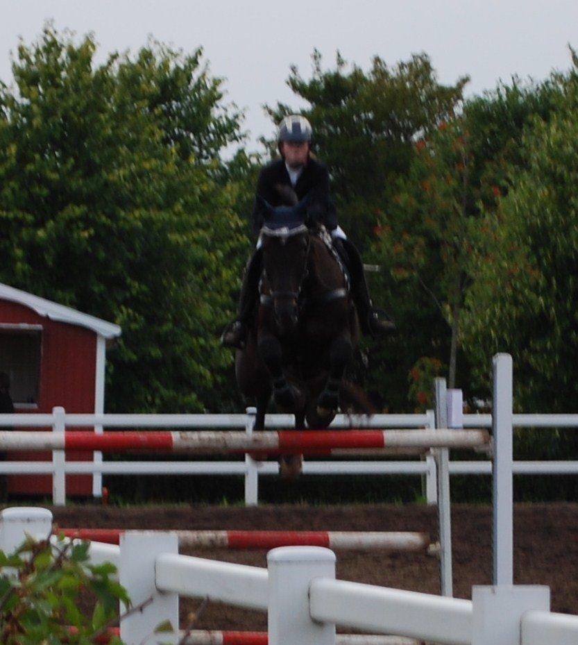 Dansk Varmblod Lerini A **RDS** - opvarmningen til første MB billede 22