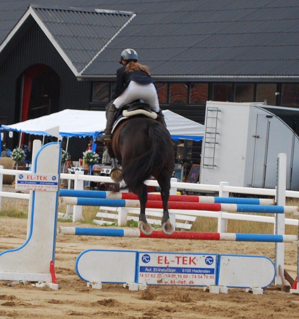 Dansk Varmblod Lerini A **RDS** - Første MB billede 23