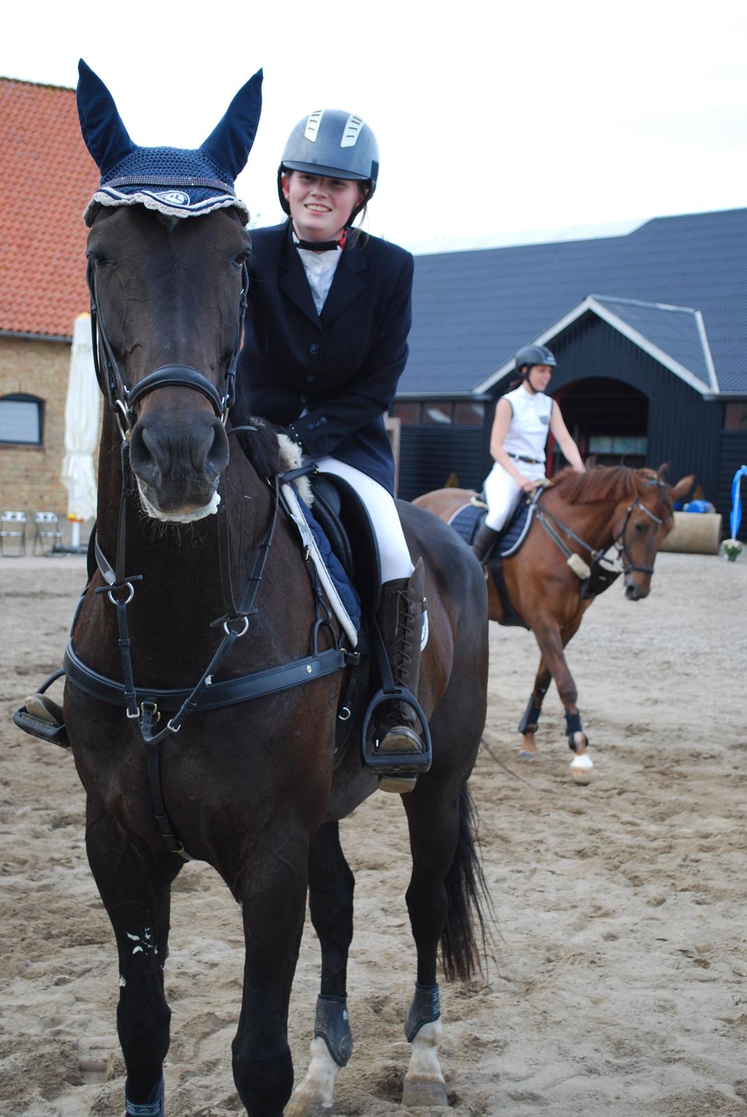 Dansk Varmblod Lerini A **RDS** - Meget tilfreds rytter og hest efter første MB* med en enkel bom billede 29