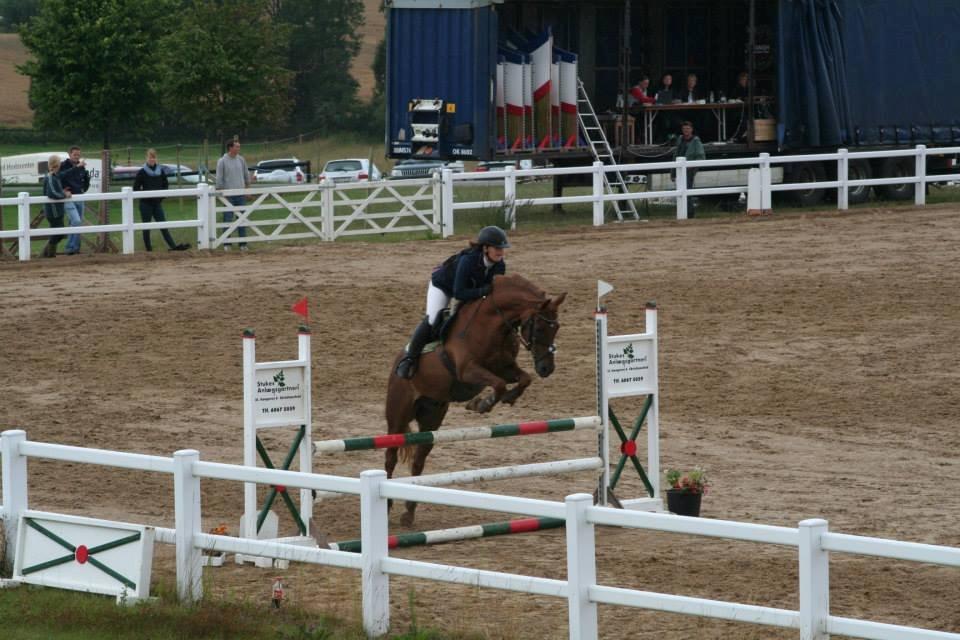 Tysk Sportspony Vario Van De Mispelaere<3 *B-pony* billede 20