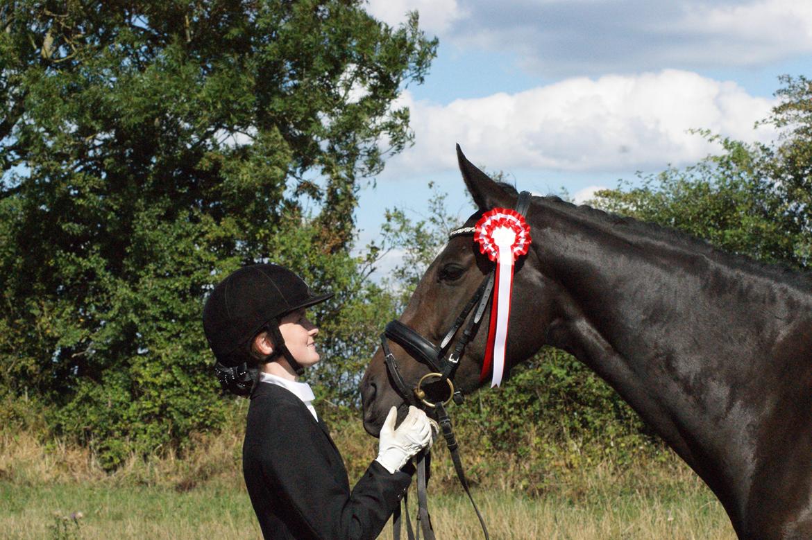 Dansk Varmblod Møllegårds Malou ~RDH~ - Min Dygtige lille hest :) billede 7