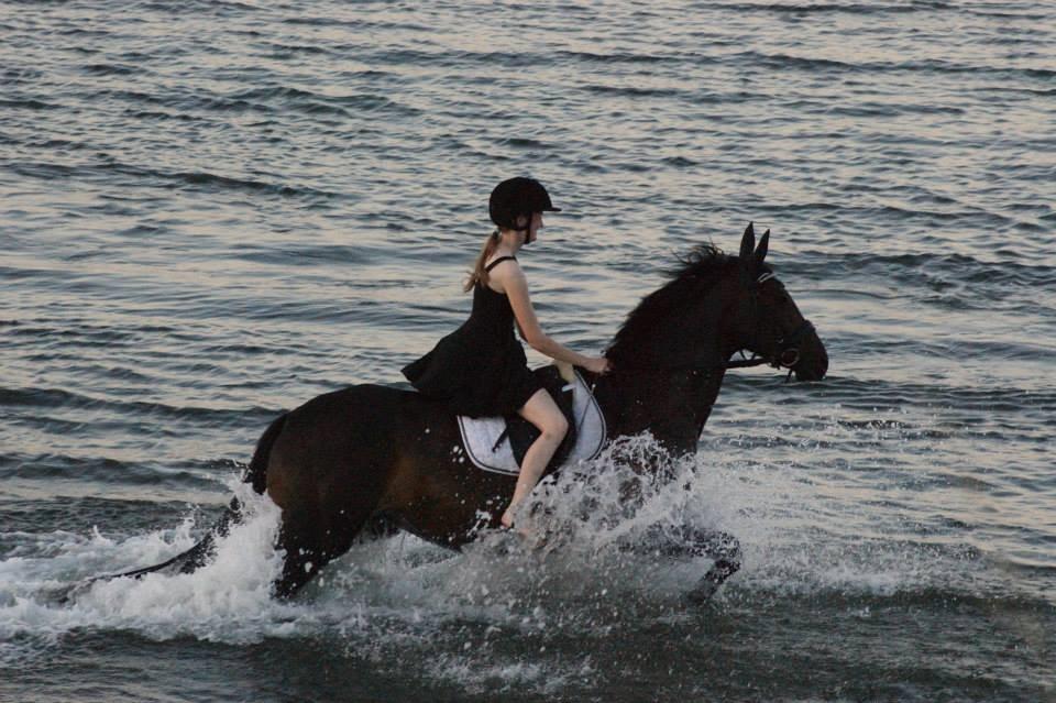 Dansk Varmblod Møllegårds Malou ~RDH~ - Badedyr ;) billede 18