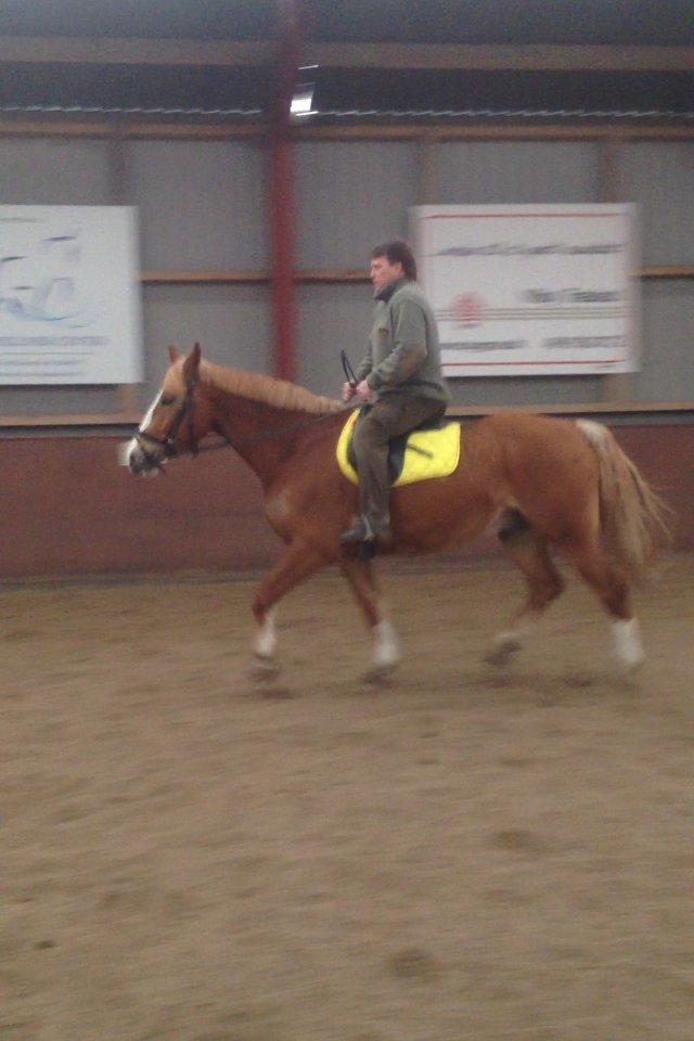 Anden særlig race Casmir - Far er oppe og ride Drengen:-)<3 billede 11