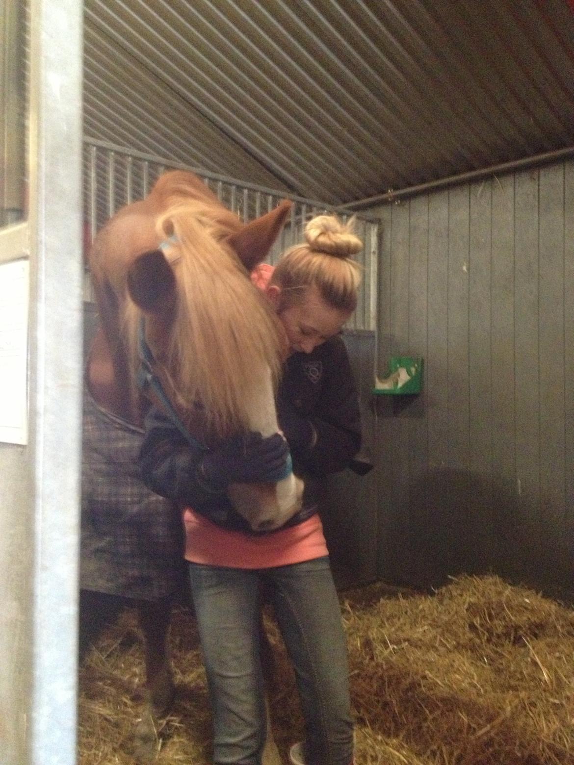 Anden særlig race Casmir - Skaaaaaaat <33 billede 12