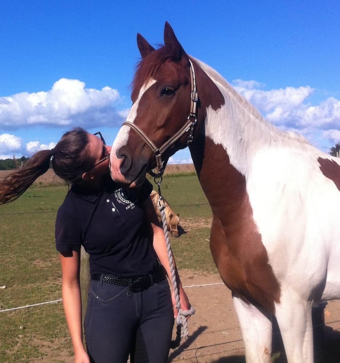 Anden særlig race Kingston - Elsker dig <3 billede 31