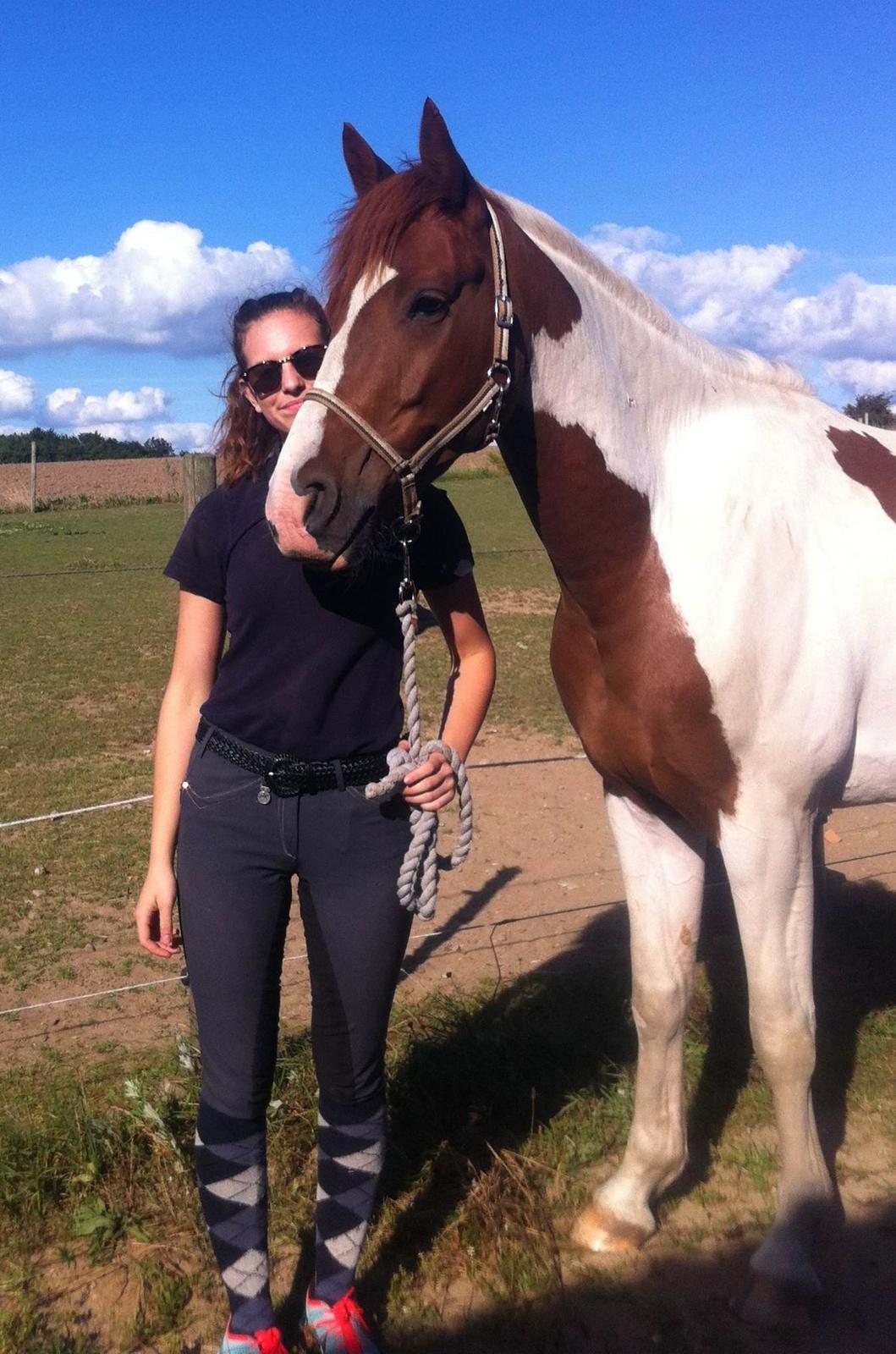 Anden særlig race Kingston billede 32