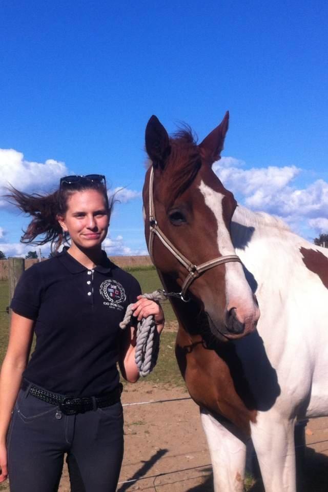 Anden særlig race Kingston - <33333333 billede 33