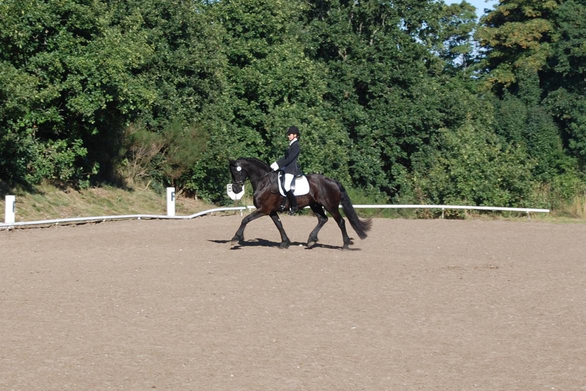 Frieser Jetse Fan Rewert STER - Hadsund cup 2013 billede 20