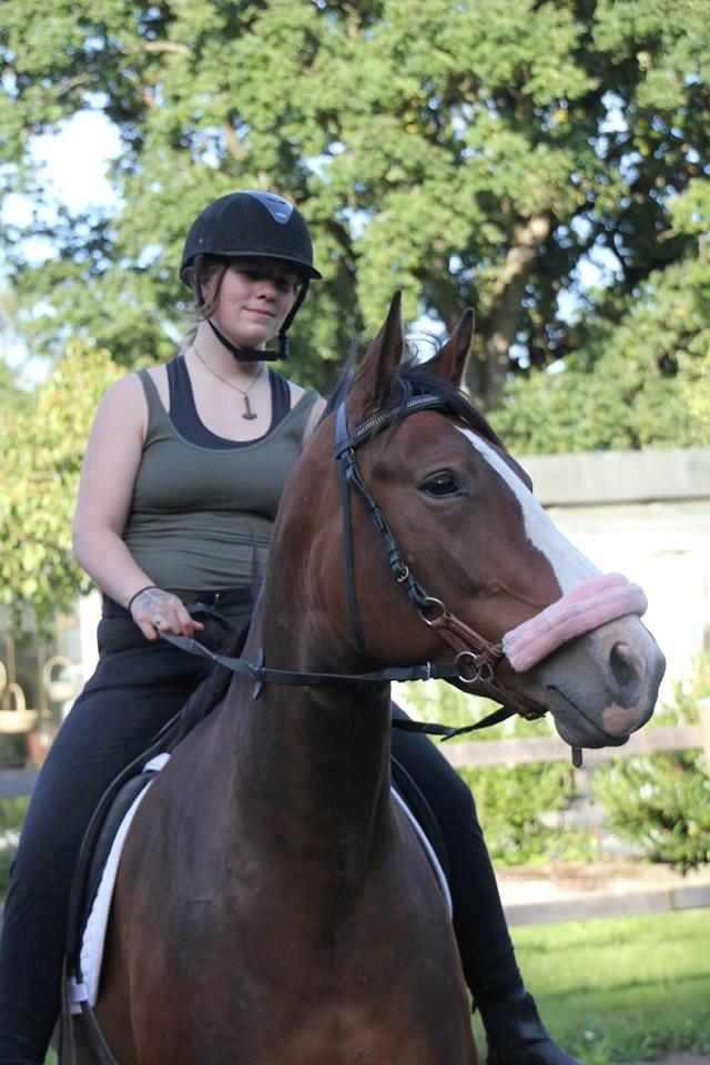 Oldenborg Phoebe de Ville - 3 gang på ryggen af hende :) billede 5