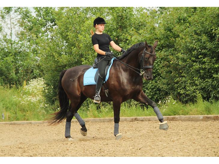 {{currentPhoto.altText}} billede {{currentPhoto.number}}