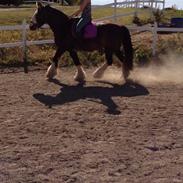 Tinker Sydhavsøernes Akillieus/Jarjar