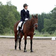 Fuldblod (XX) Fair Mile XX