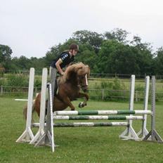 Islænder Idun fra Dynt