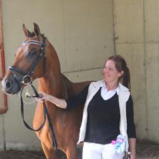 Welsh Partbred (Sec F) Trubka´s Nicardo