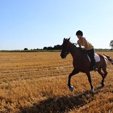 Traver Swept To Klindtholm