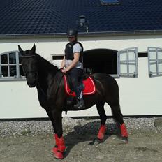 Frieser Stormarkgaardens Zenia