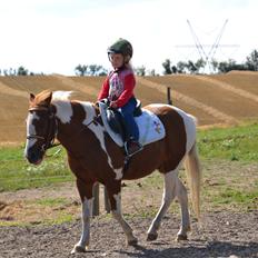 Anden særlig race Batman