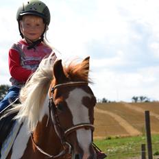 Anden særlig race Batman