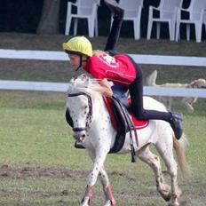 Knabstrupper Dolly !My everything!