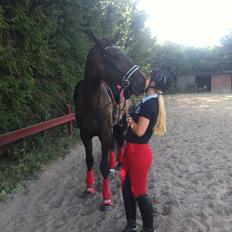 Holstener Columbus B