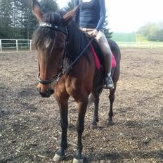 Traver Figth Du Mille