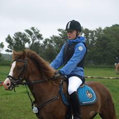 Anden særlig race Zivas [Tidl. lånepony]