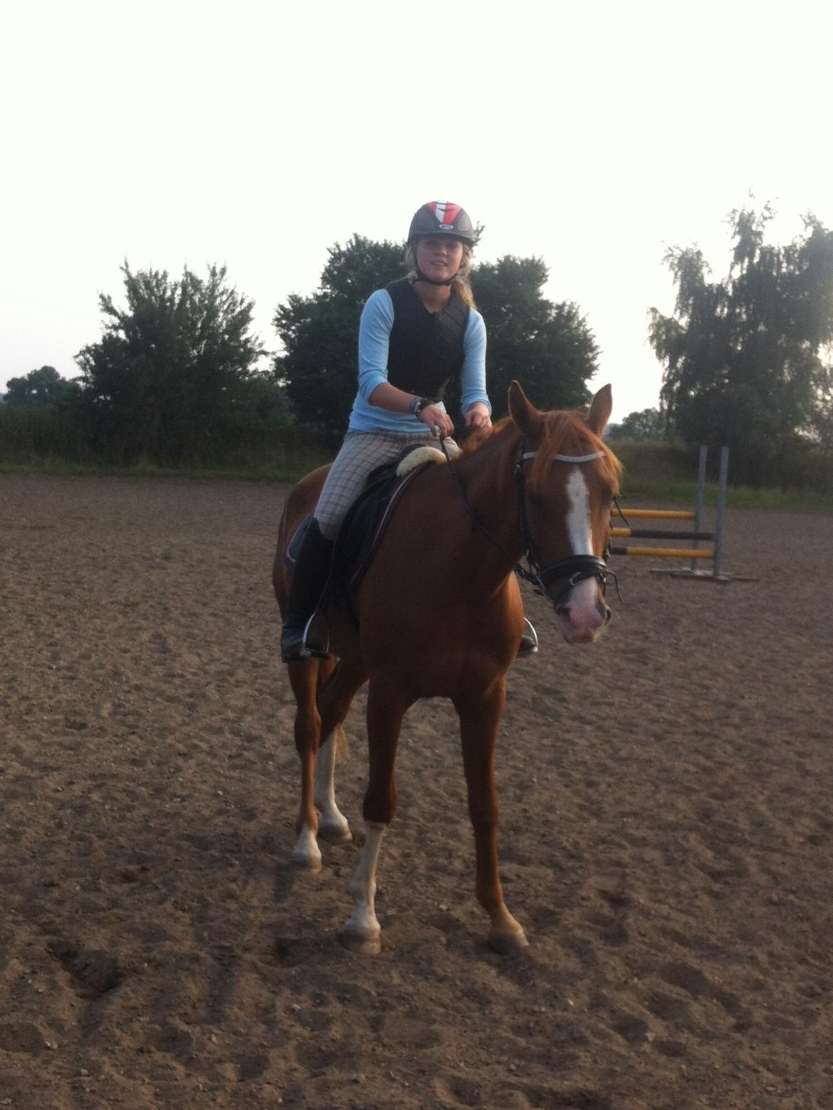 Anden særlig race Havens Astian - 2 gang på udendørsbanen og kun 9 gang med rytter på ryggen :-)  billede 8